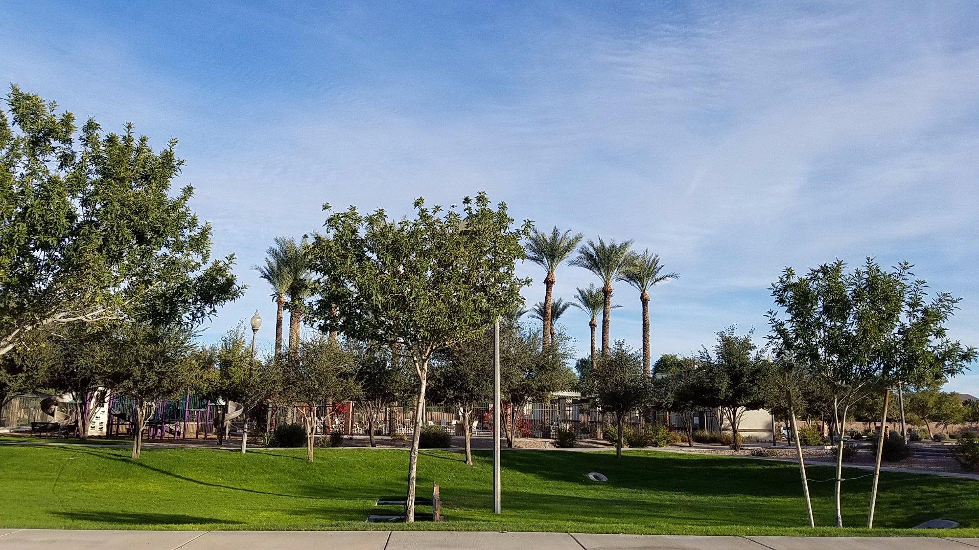 Maricopa Lake Park