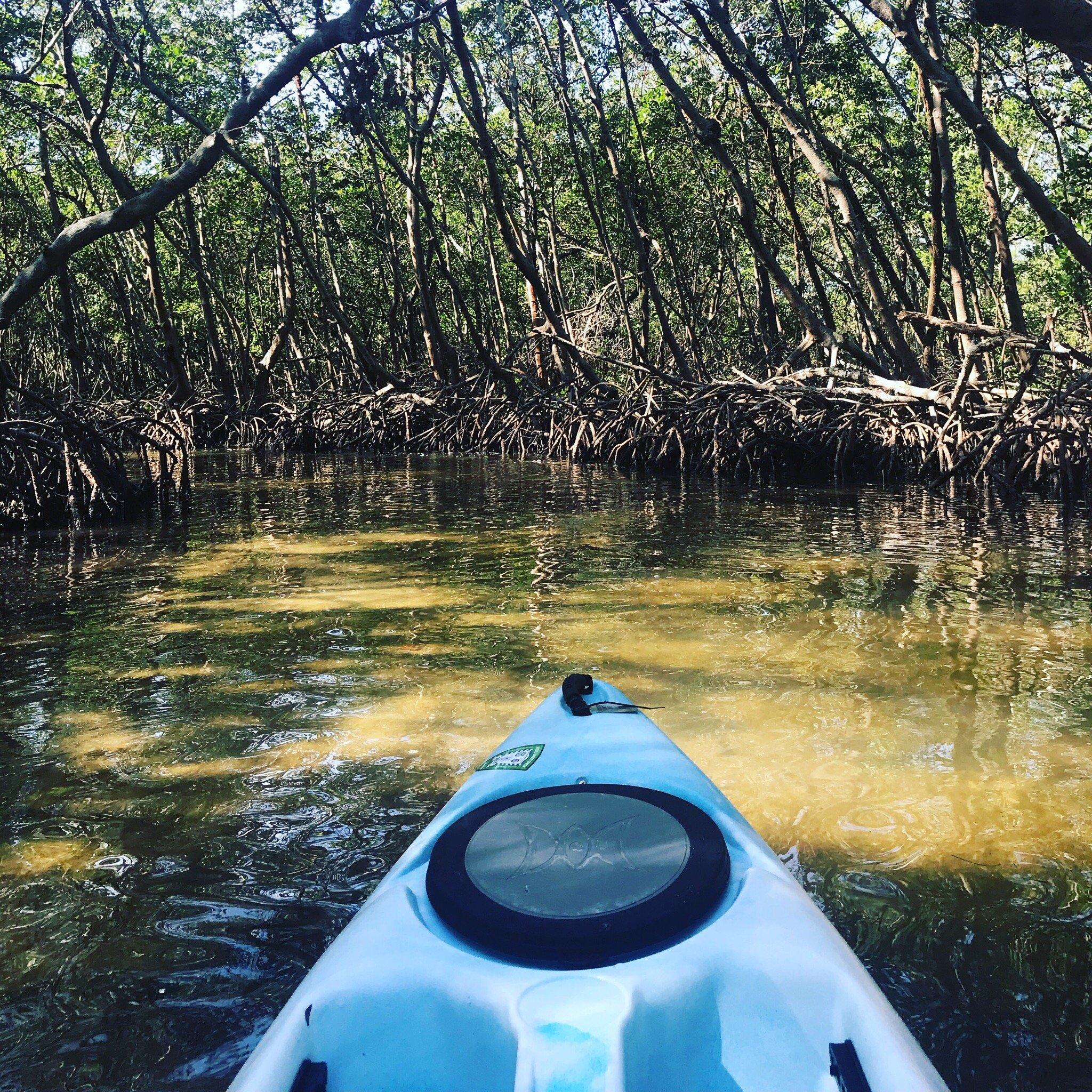 Kayaking SRQ Tours and Rentals