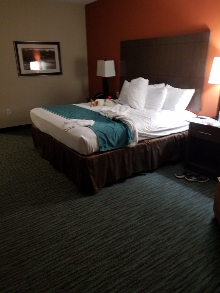 Best Western Plus Longhorn Inn & Suites