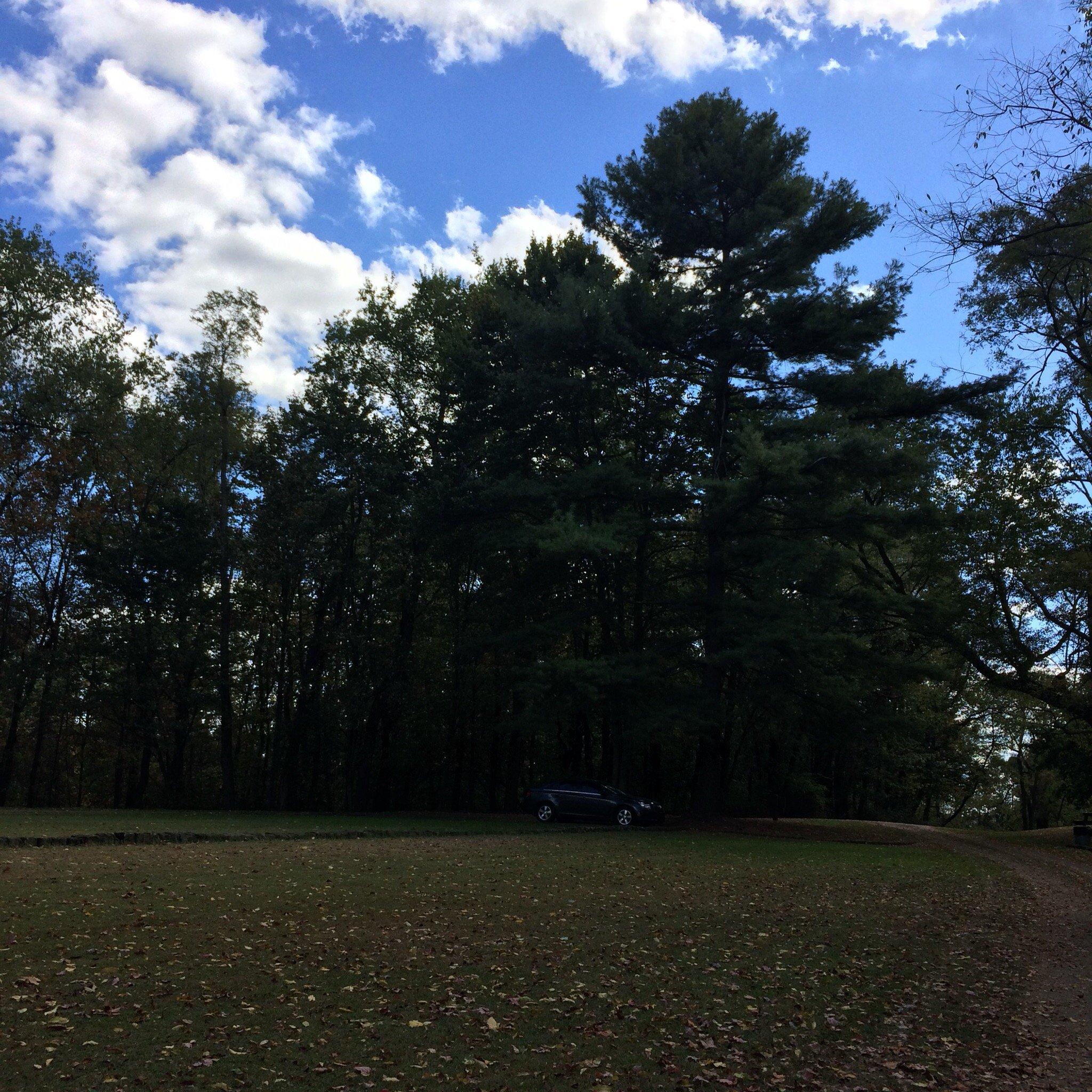 Tomlinson Run State Park