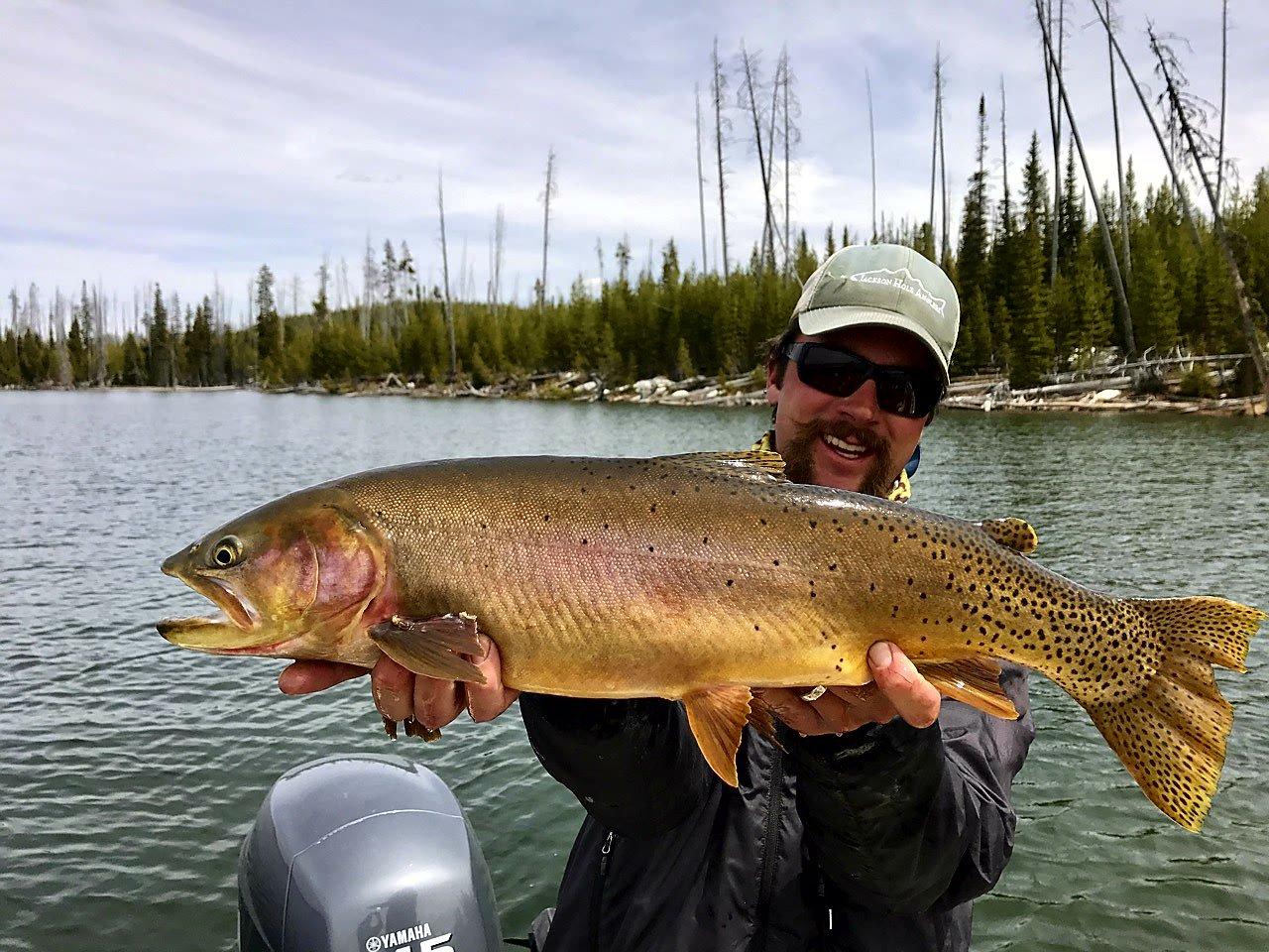 Jackson Hole Anglers