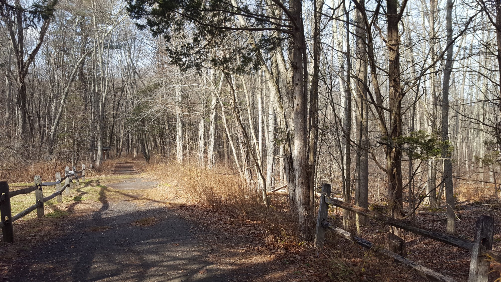 Roaring Brook Park