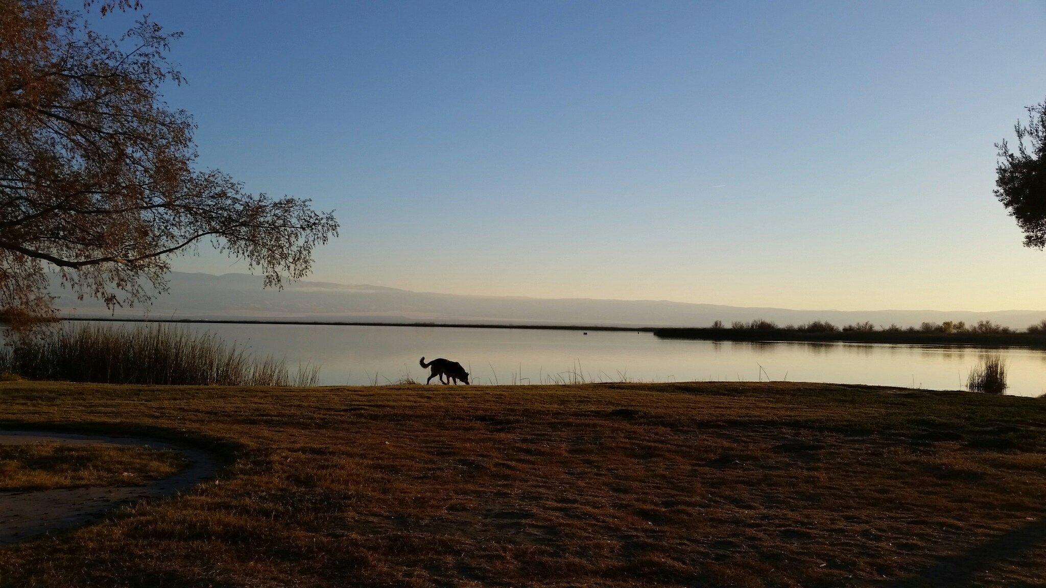 Buena Vista Aquatic Recreational Area