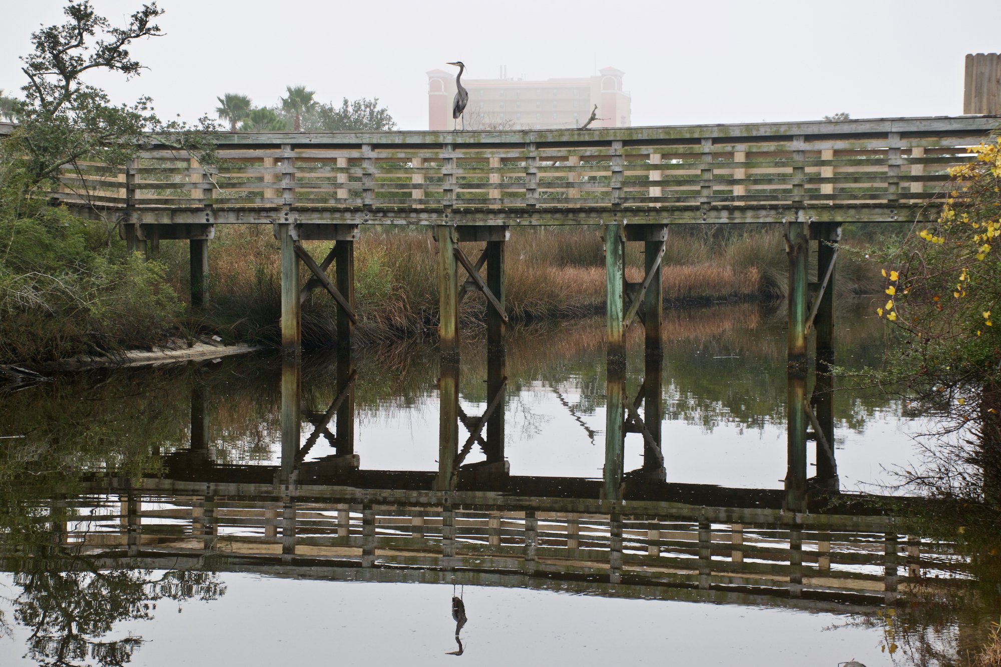 Wade Ward Nature Park