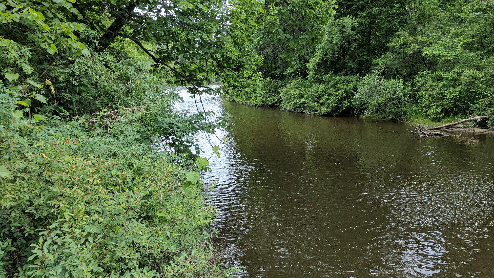 Rogue River Park