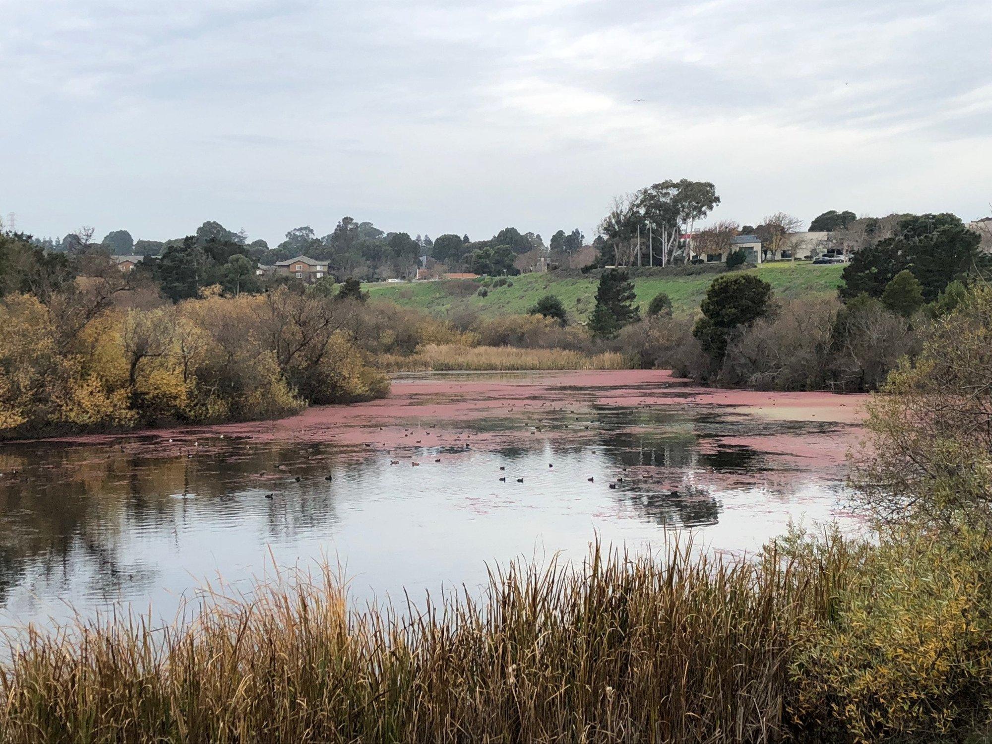 Hilltop Lake Park