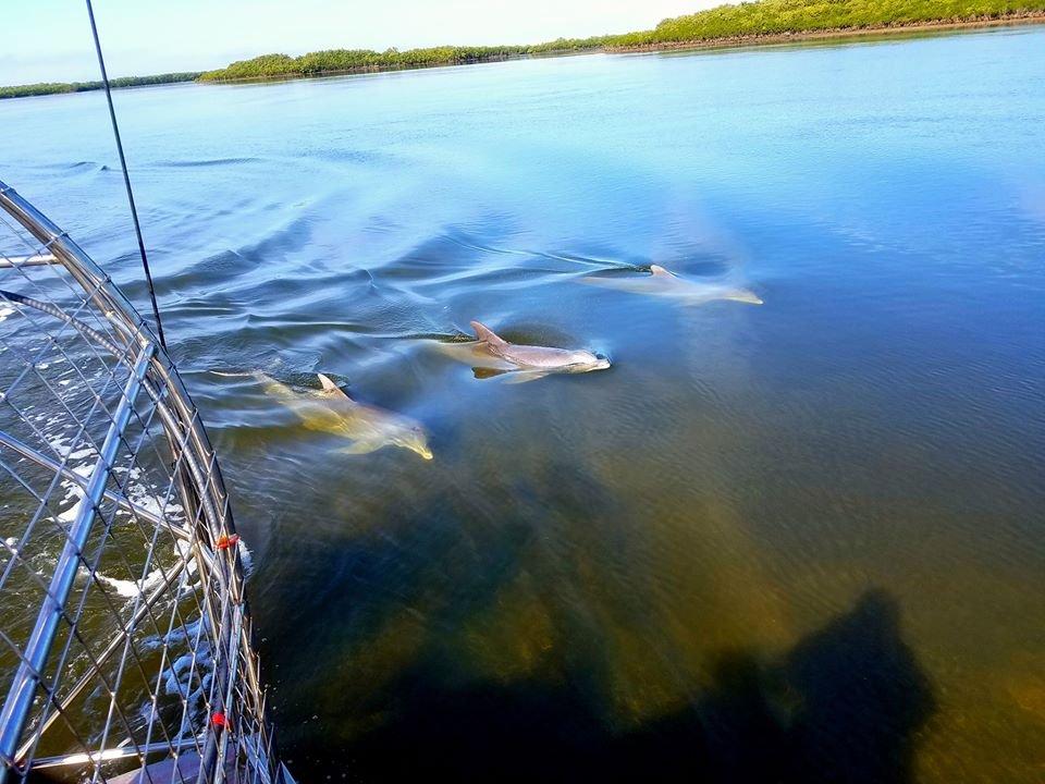 St Martins Marsh Aquatic Preserve