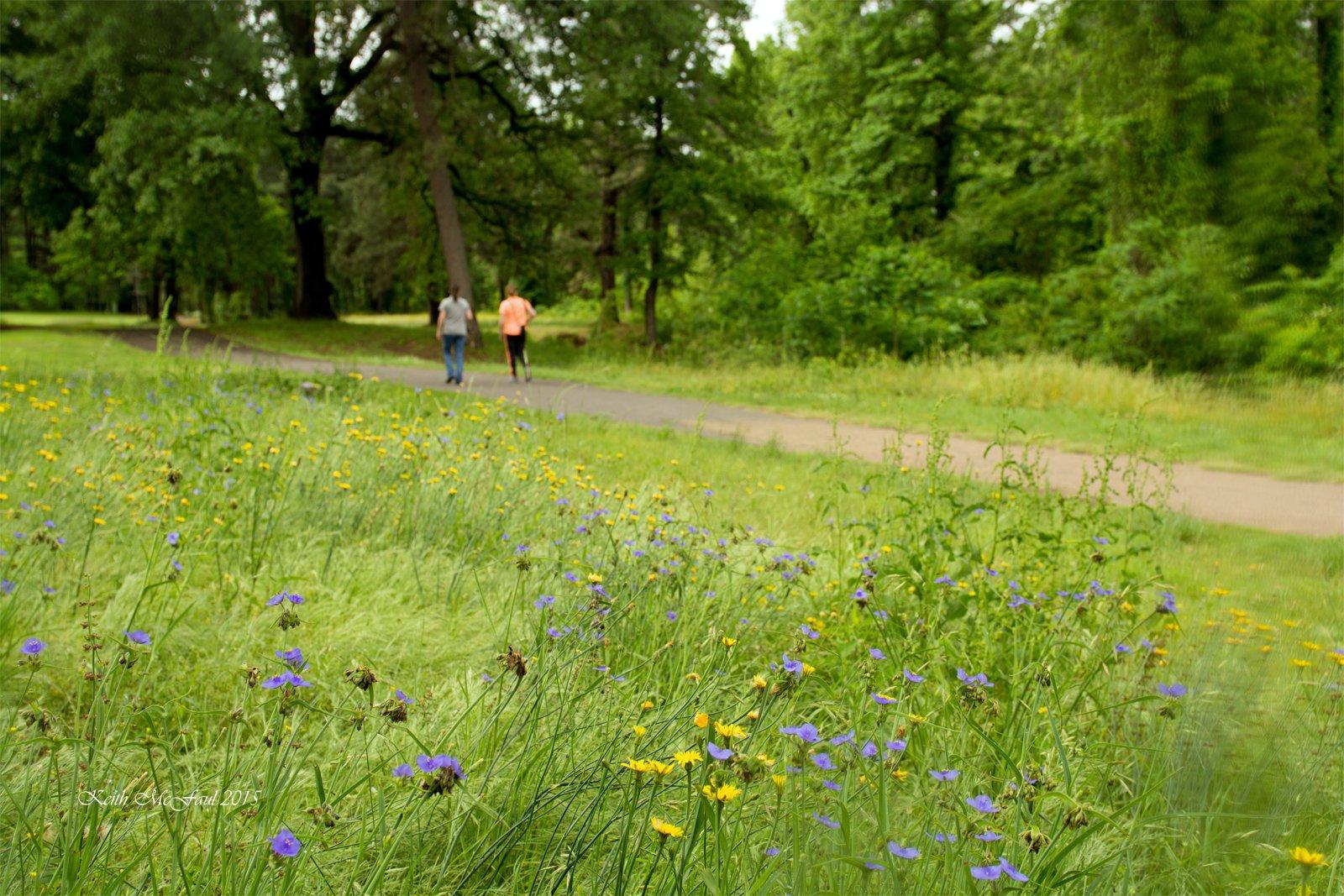 Nix Creek Trail