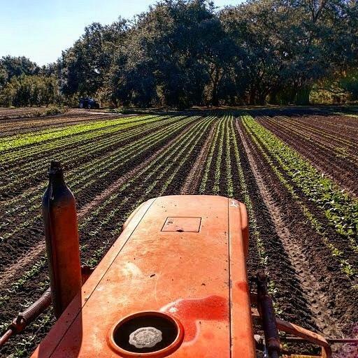 Ambrose Family Farm