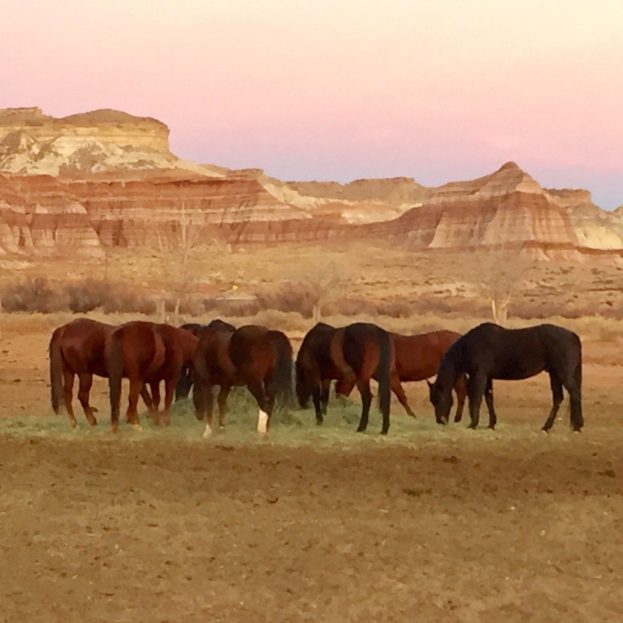 Paria River Ranch