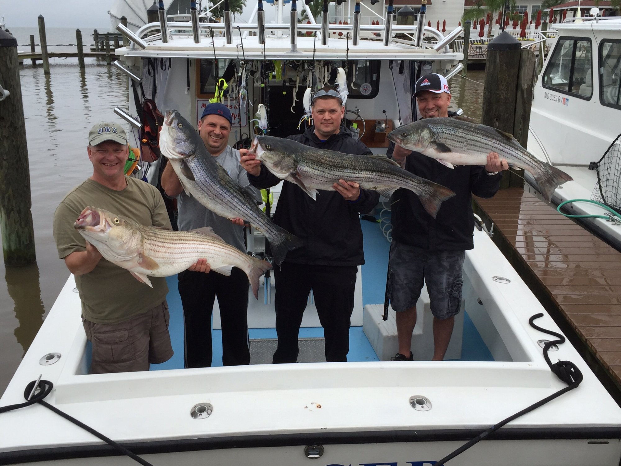 Teaser Charter Fishing