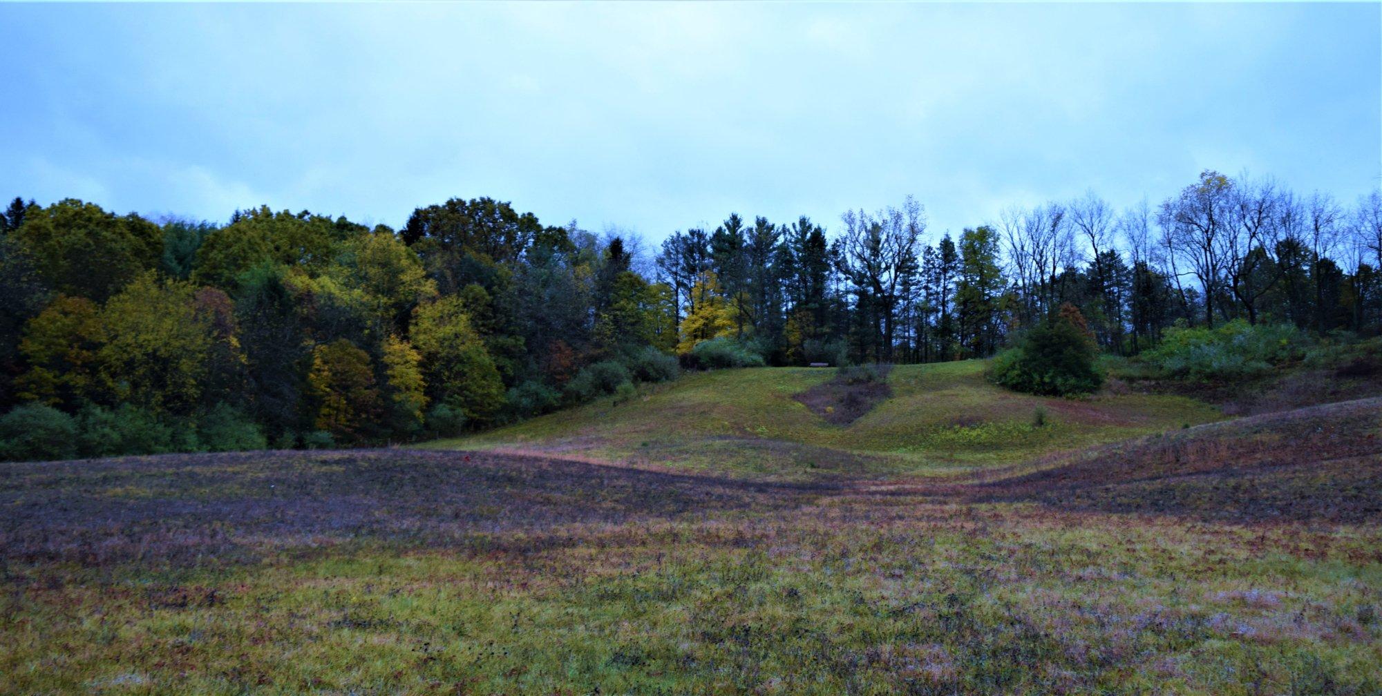 Bertha Brock Park