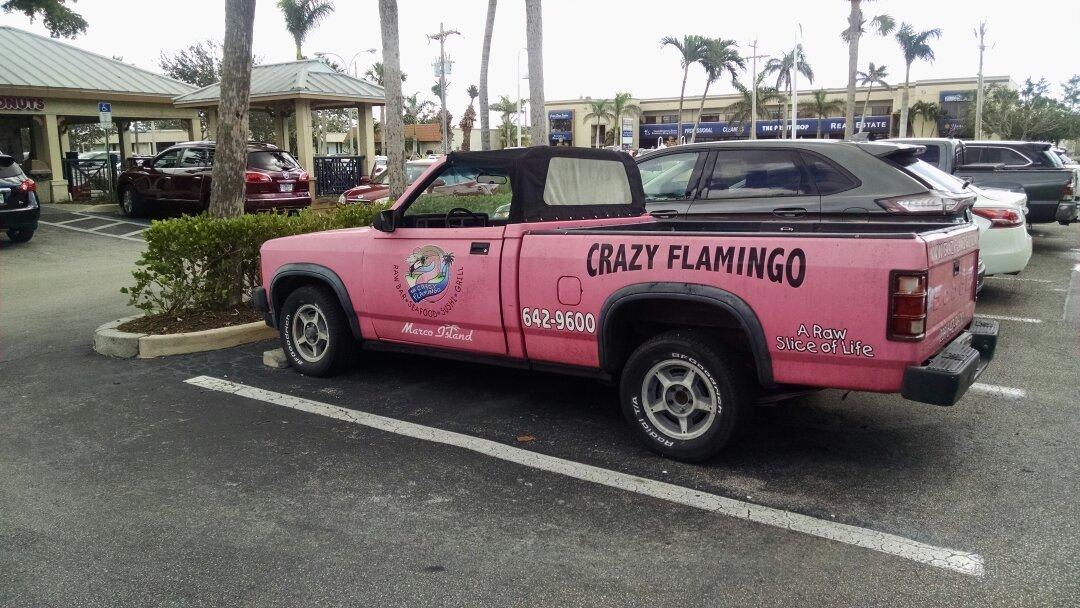 The Crazy Flamingo