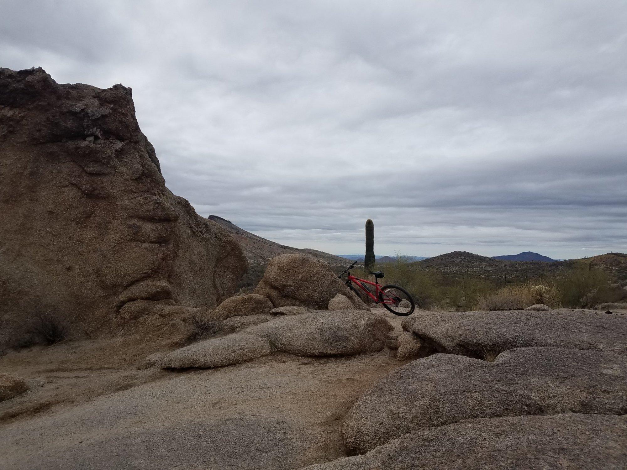 McDowell Mountain Cycles