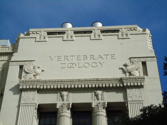 Museum of Vertebrate Zoology