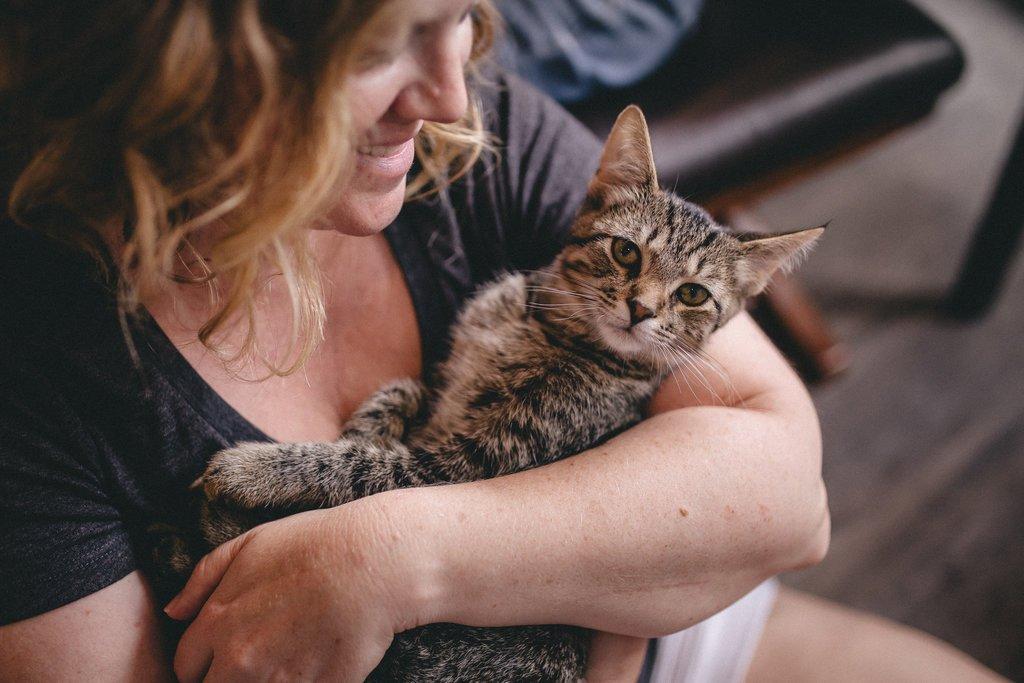 Happy Cat Cafe