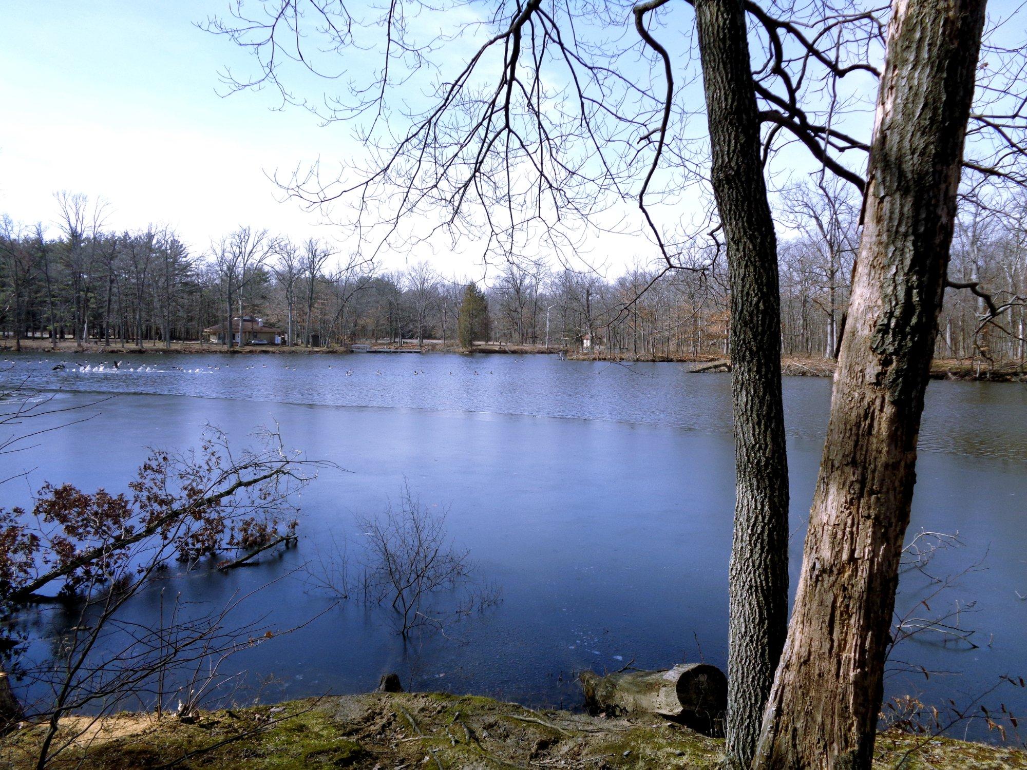 Walnut Point State Park