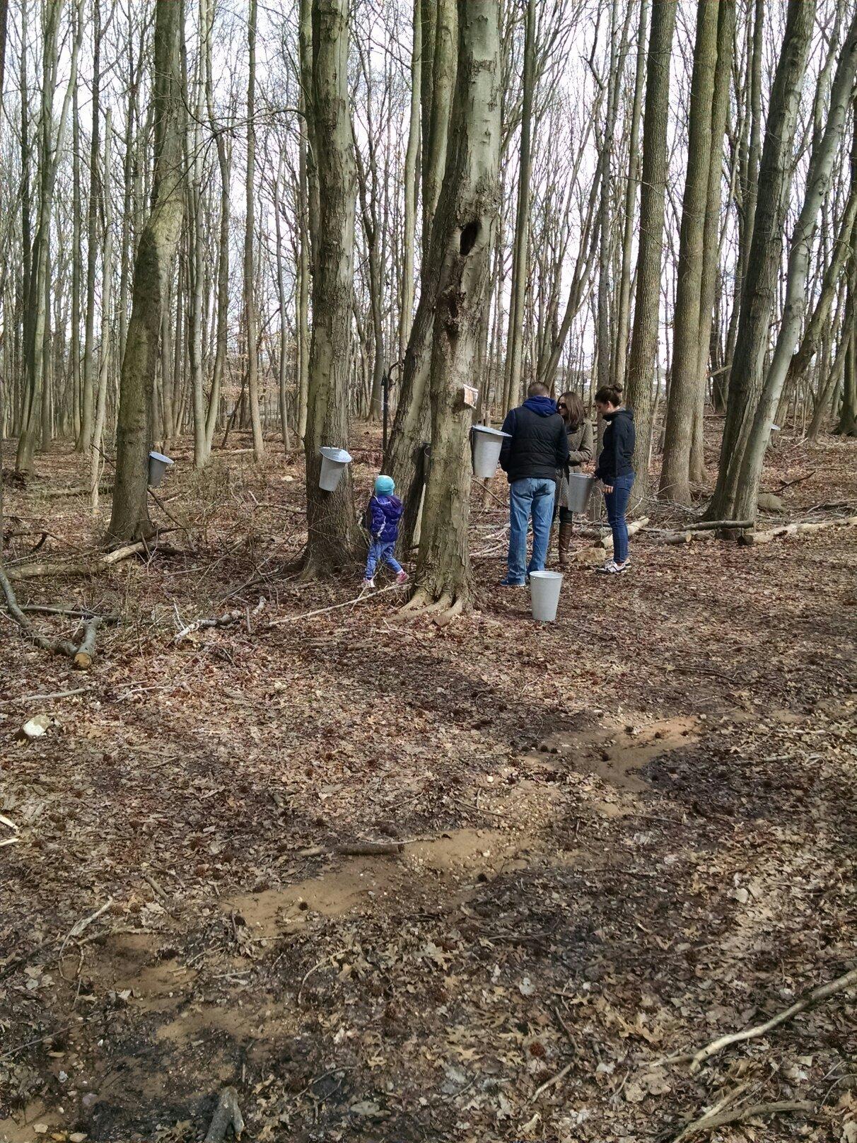 Clay Pit Ponds State Park Preserve