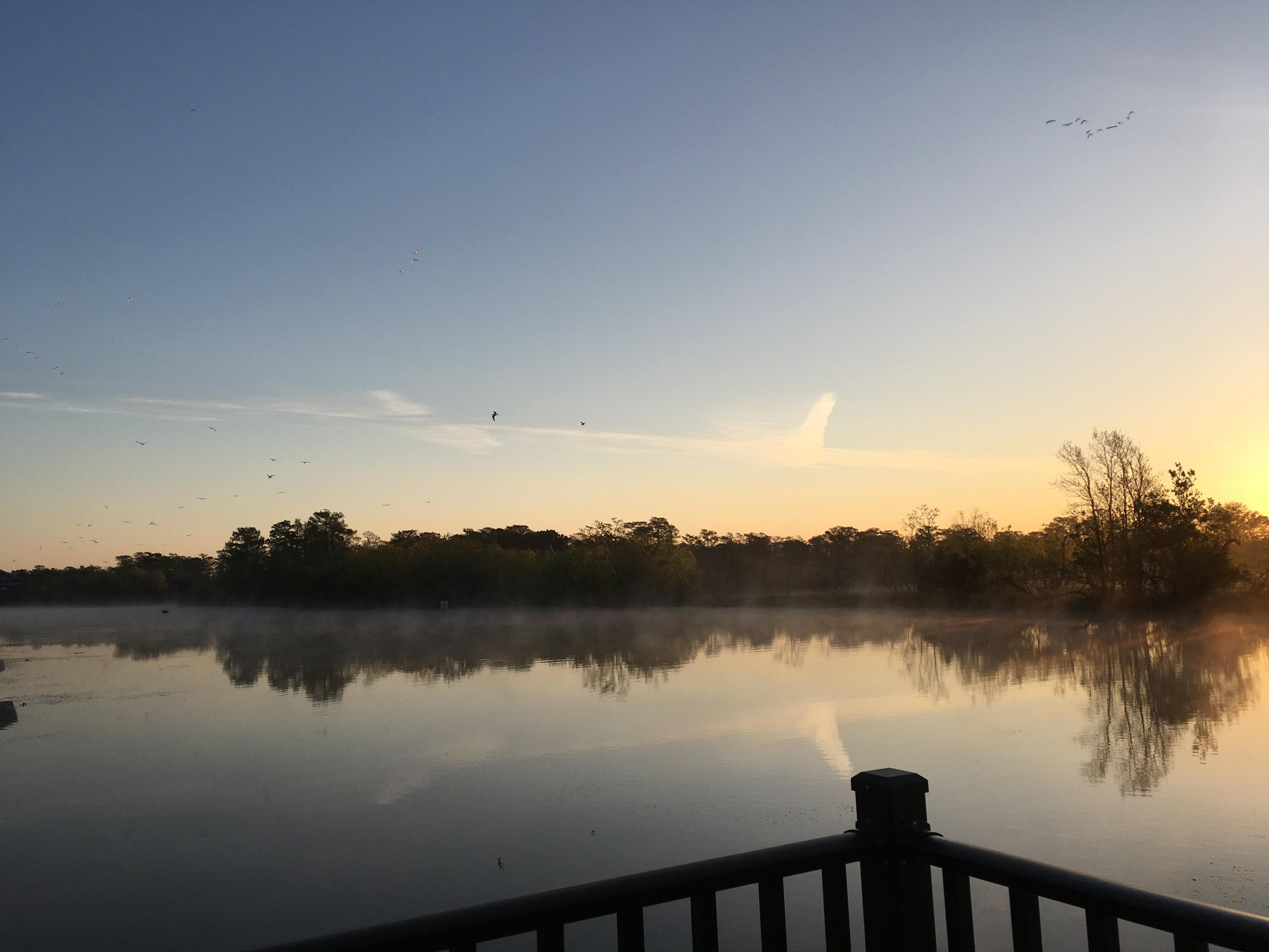 Bayou Segnette State Park