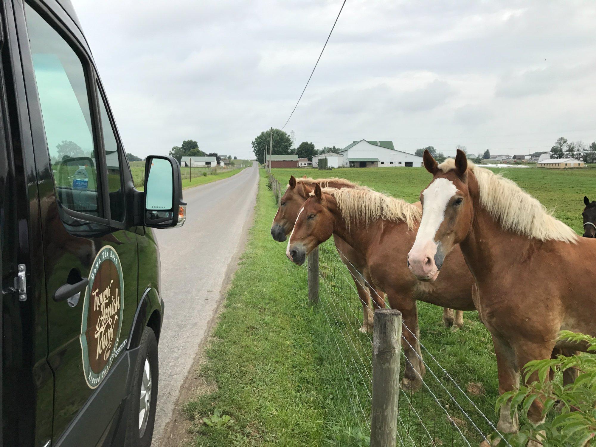 Troyer's Amish Tours