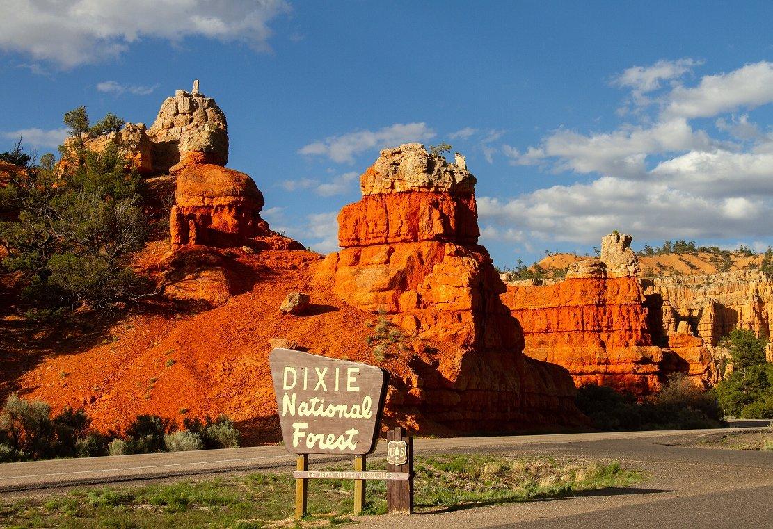 Dixie National Forest