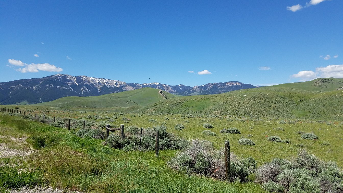 Shoshone National Forest