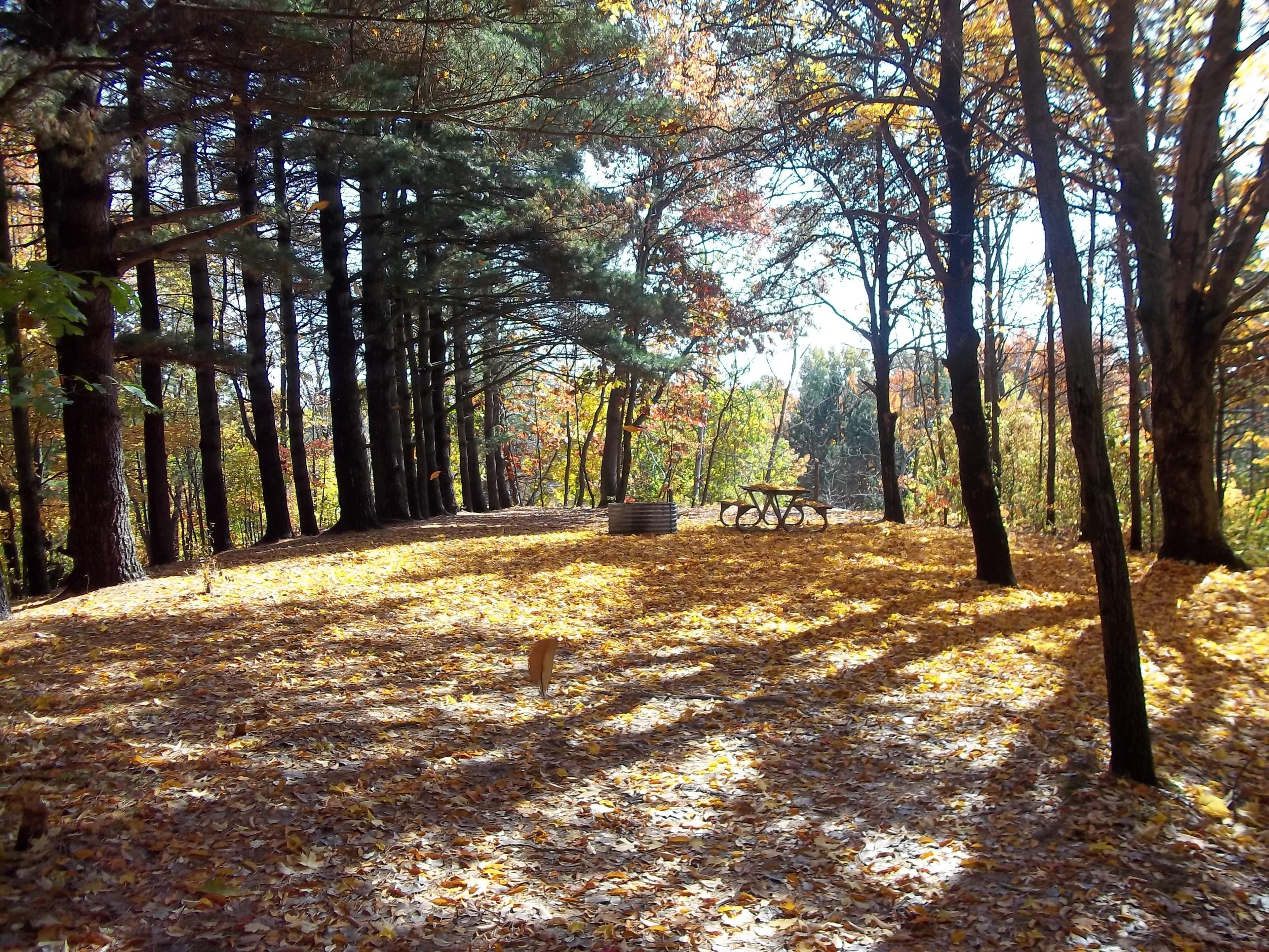 Wabasis Lake Park Campground