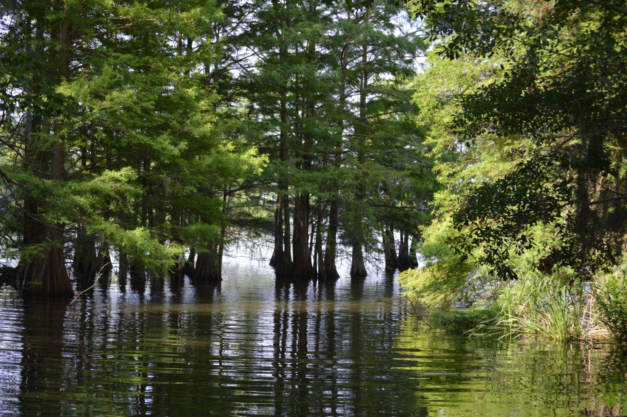 Santee National Wildlife Refuge