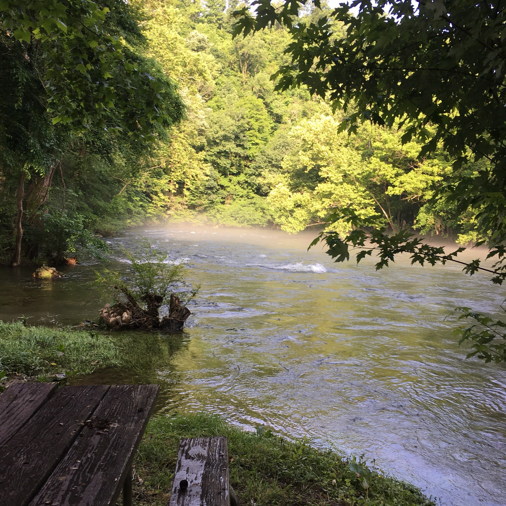 Watauga River Cabins