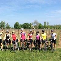 Collingwood Cycling Tours