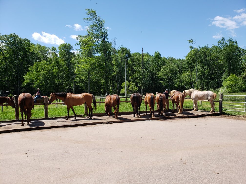 Triple W Riding Stable