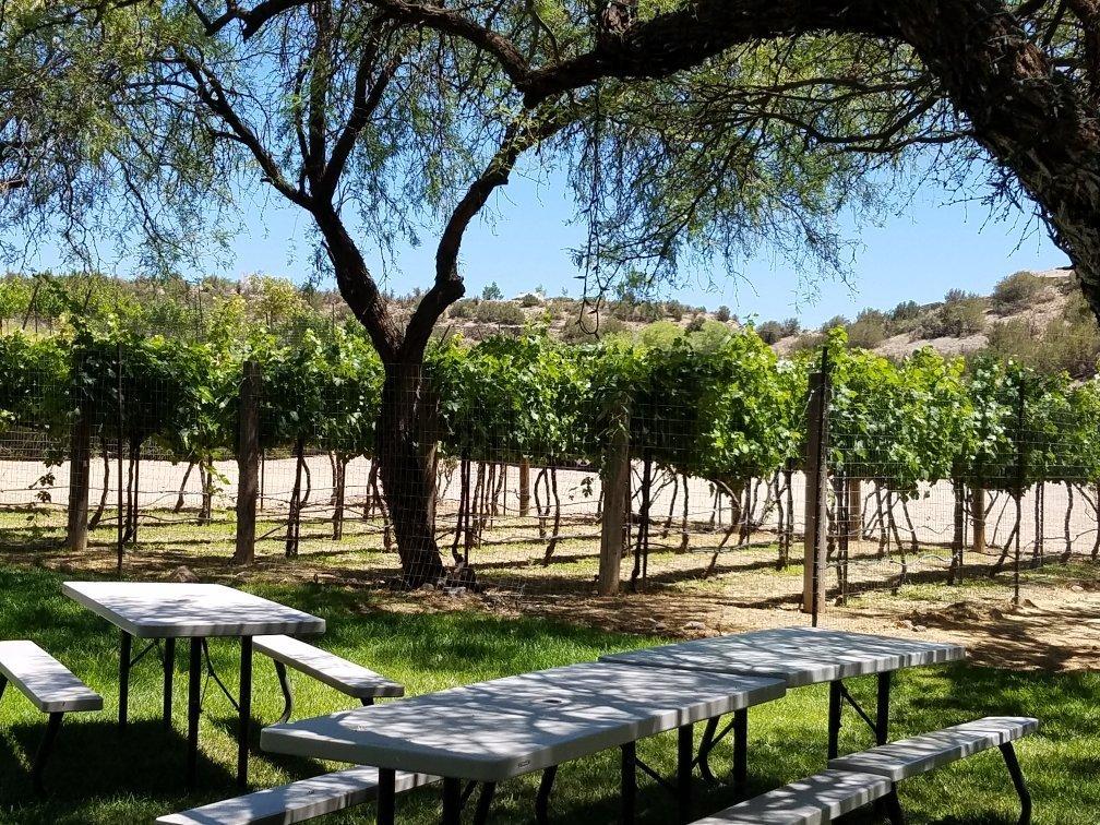 Javelina Leap Vineyard, Winery & Bistro