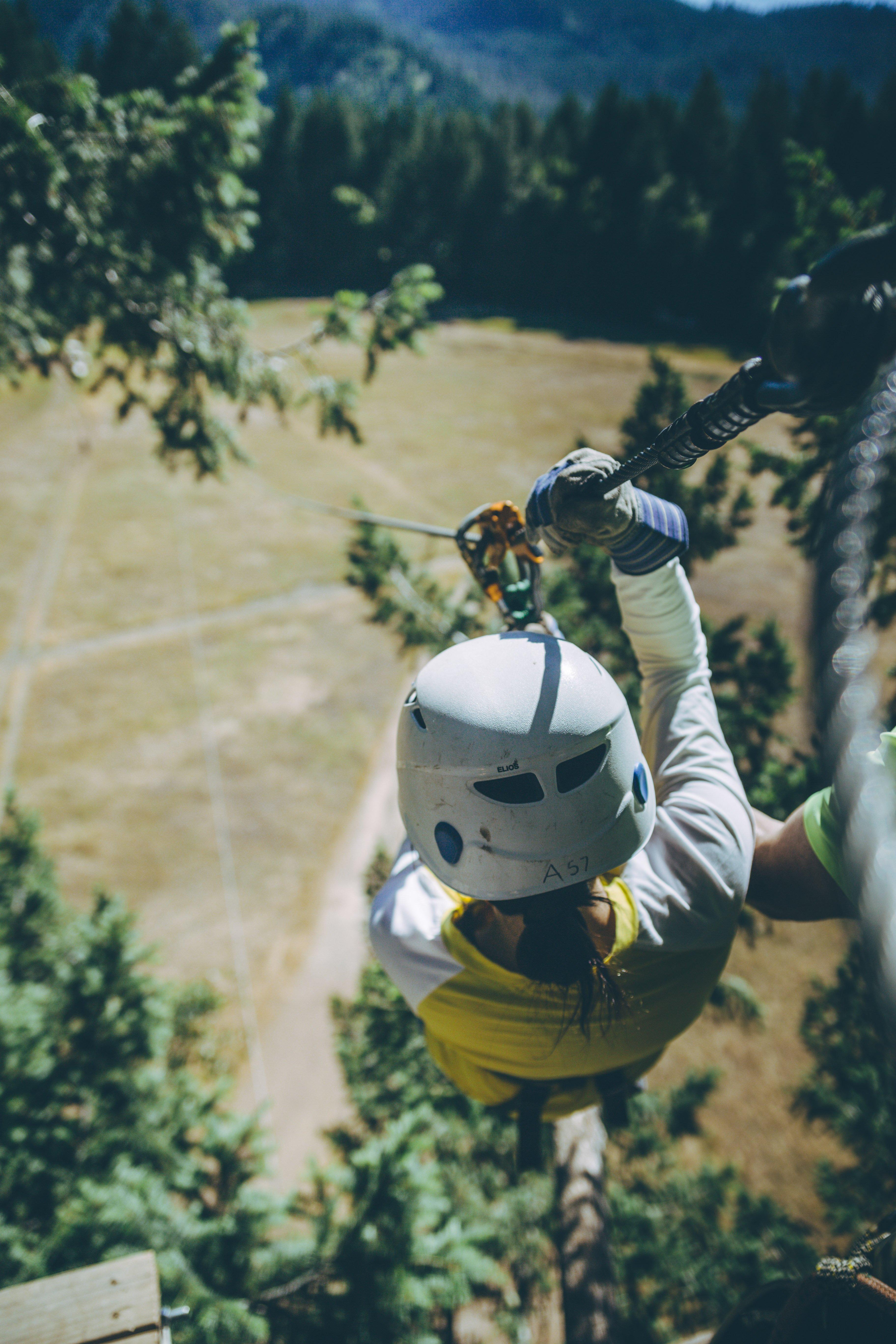 Treehouse Ziplines