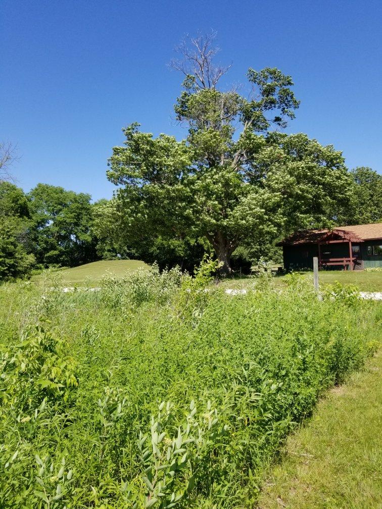 Toolesboro Mounds National Historic Site