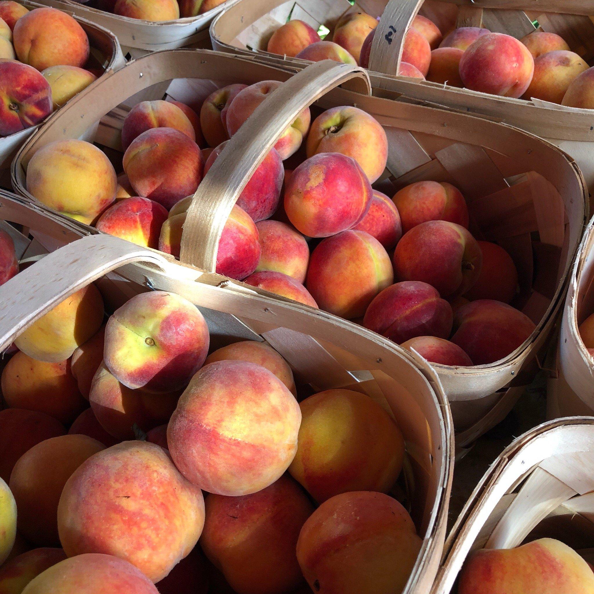 Charleston Farmers Market