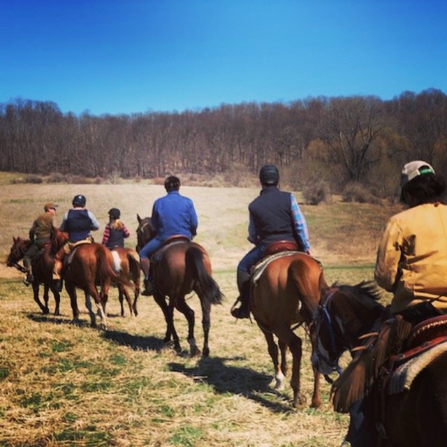 Mountain Valley Farm