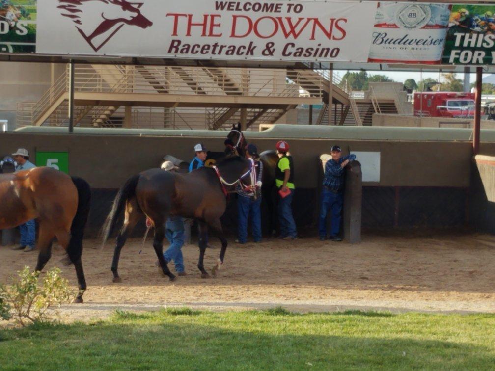 Downs at Albuquerque