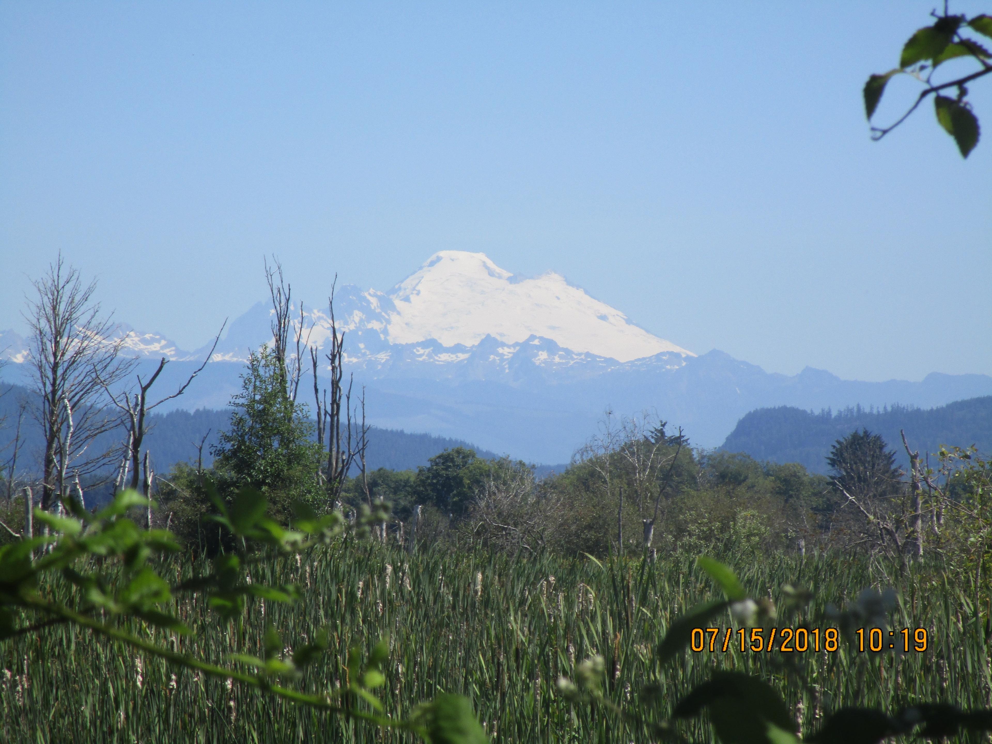 Skagit Wildlife Area