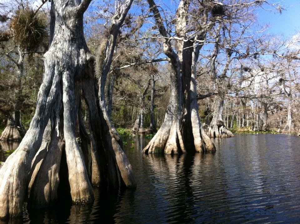 Lake Norris Conservation Area