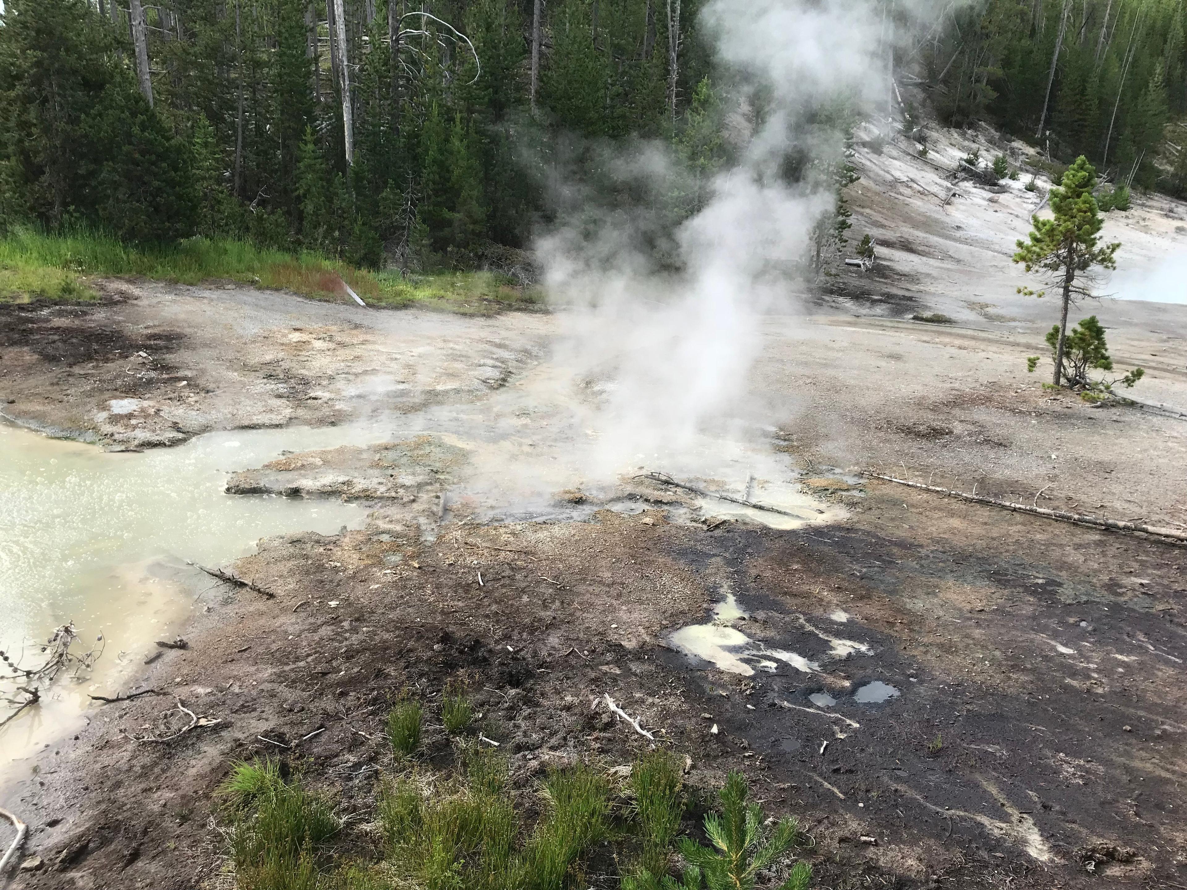 Frying Pan Spring