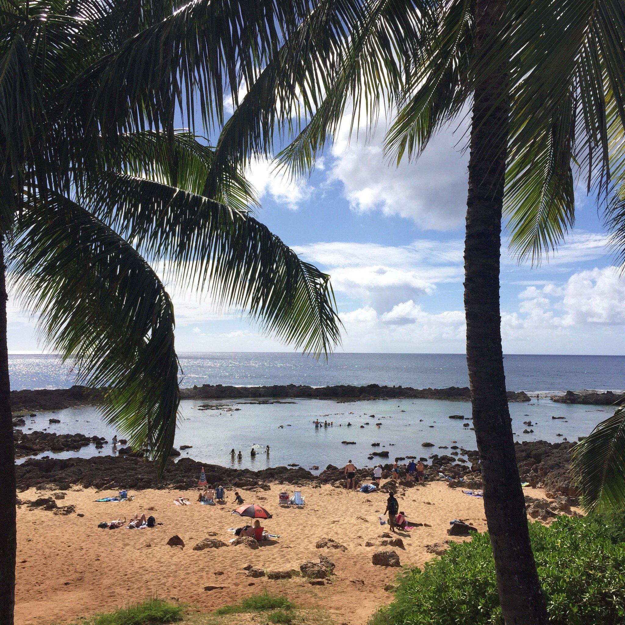 North Shore Shave Ice