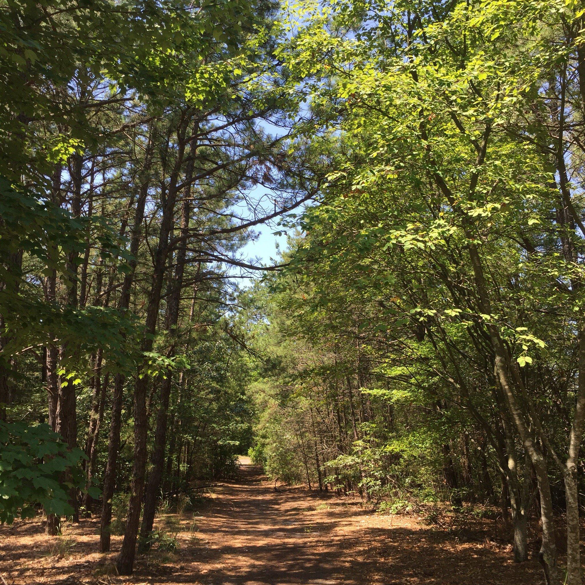 Mill Creek County Park