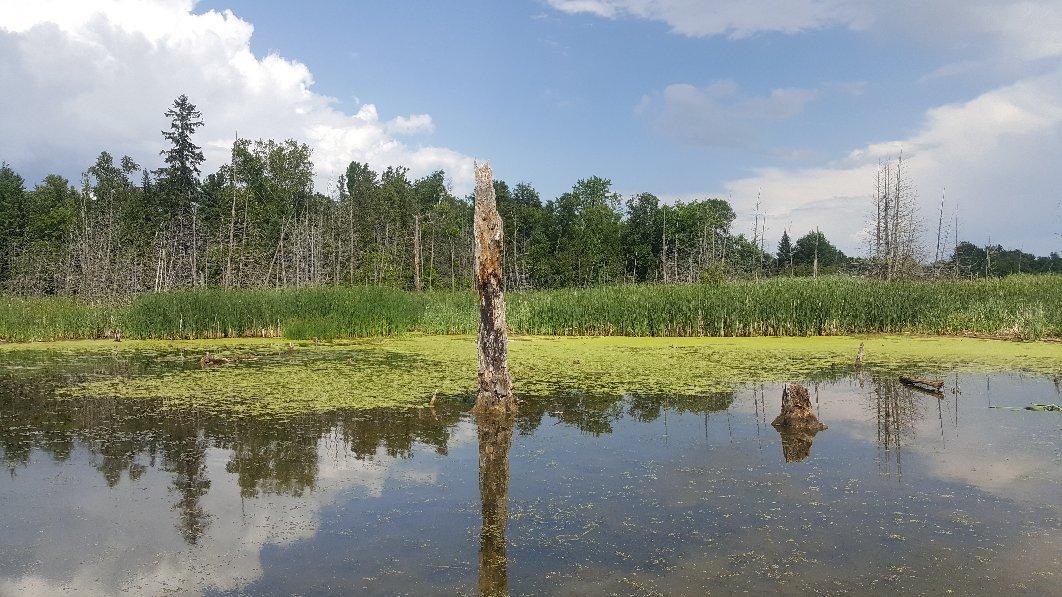 Bear Creek Exotic Wildlife Sanctuary