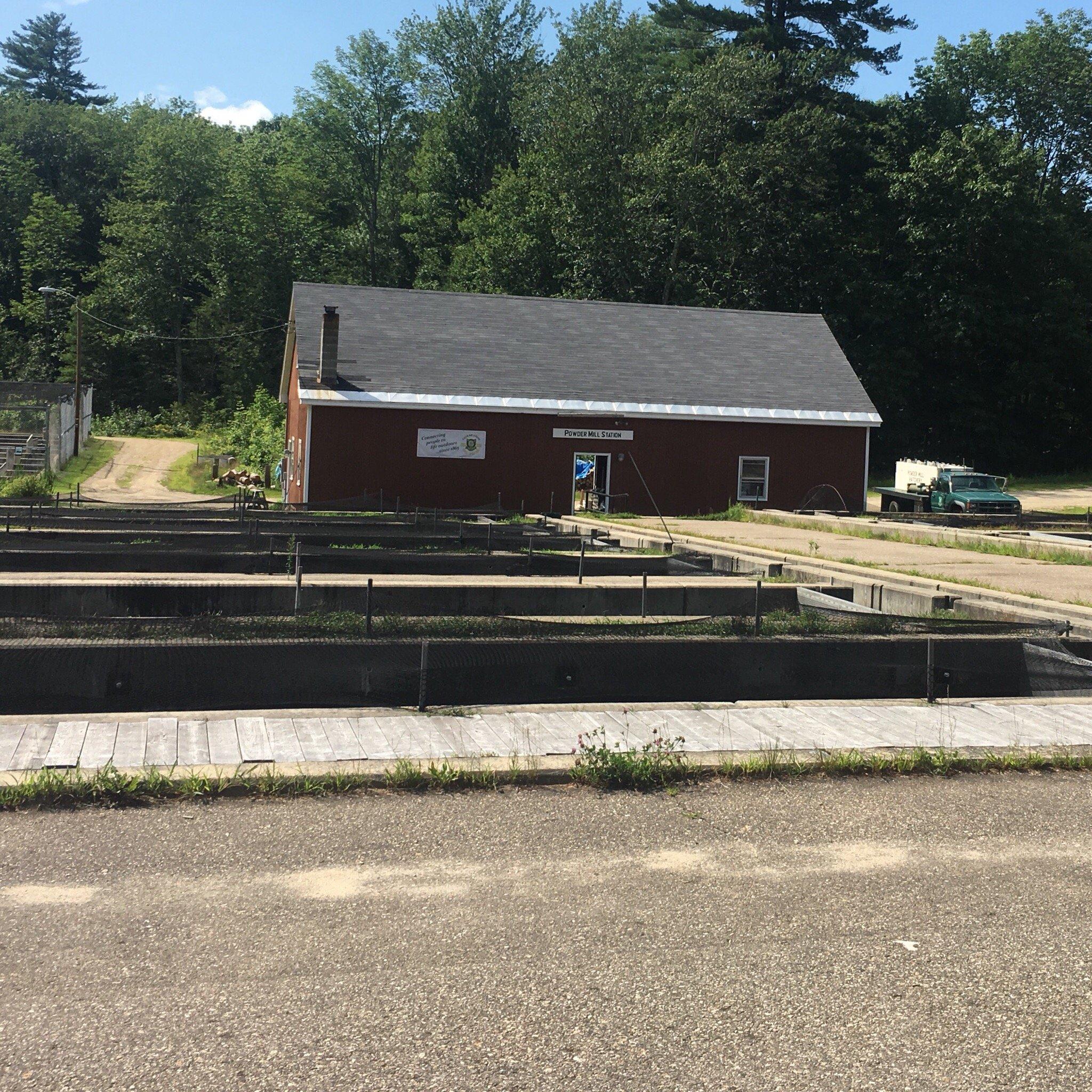 Powder Mill NH State Fish Hatchery