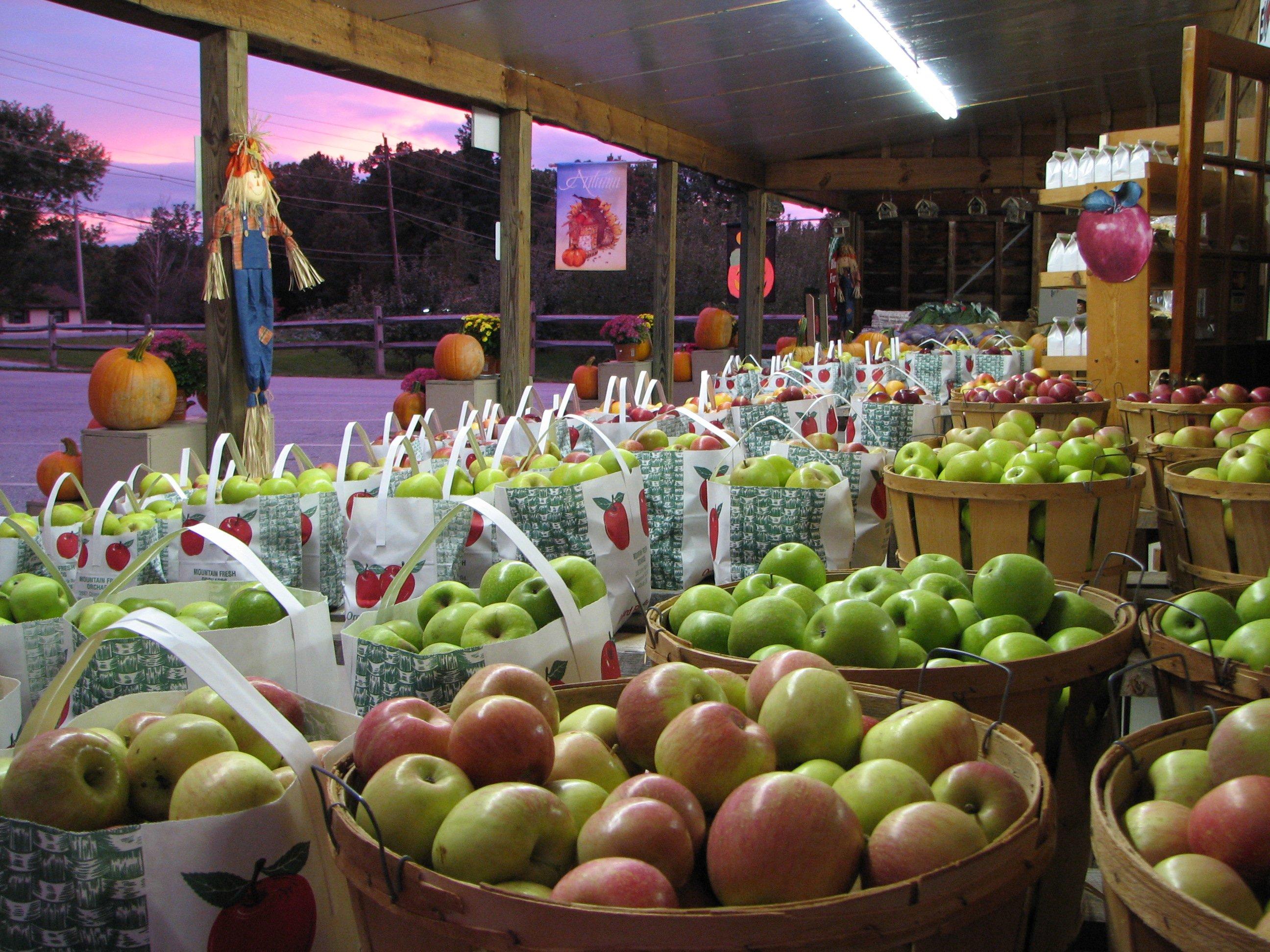 Mountain Fresh Orchard