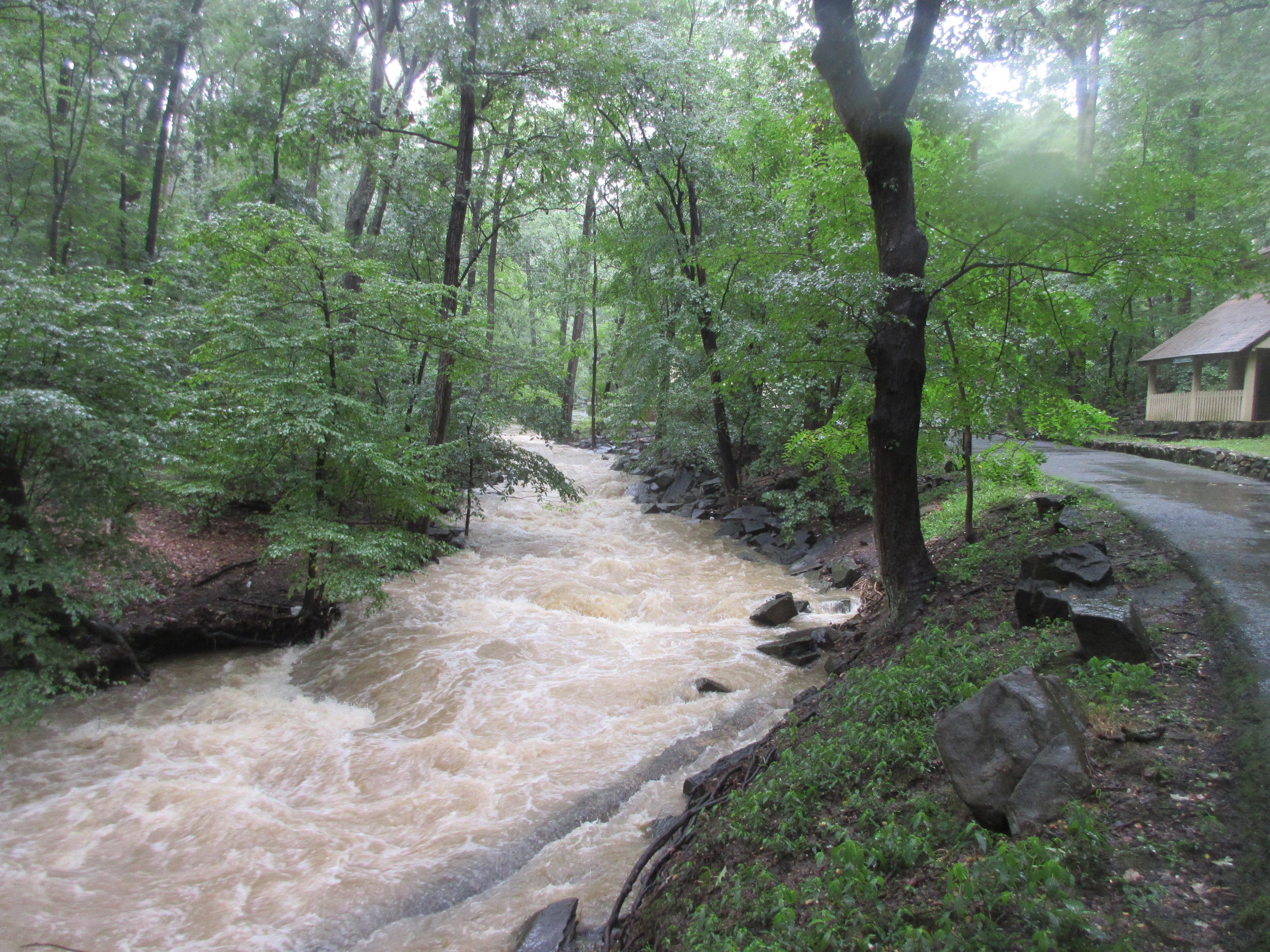 Lubber Run Park