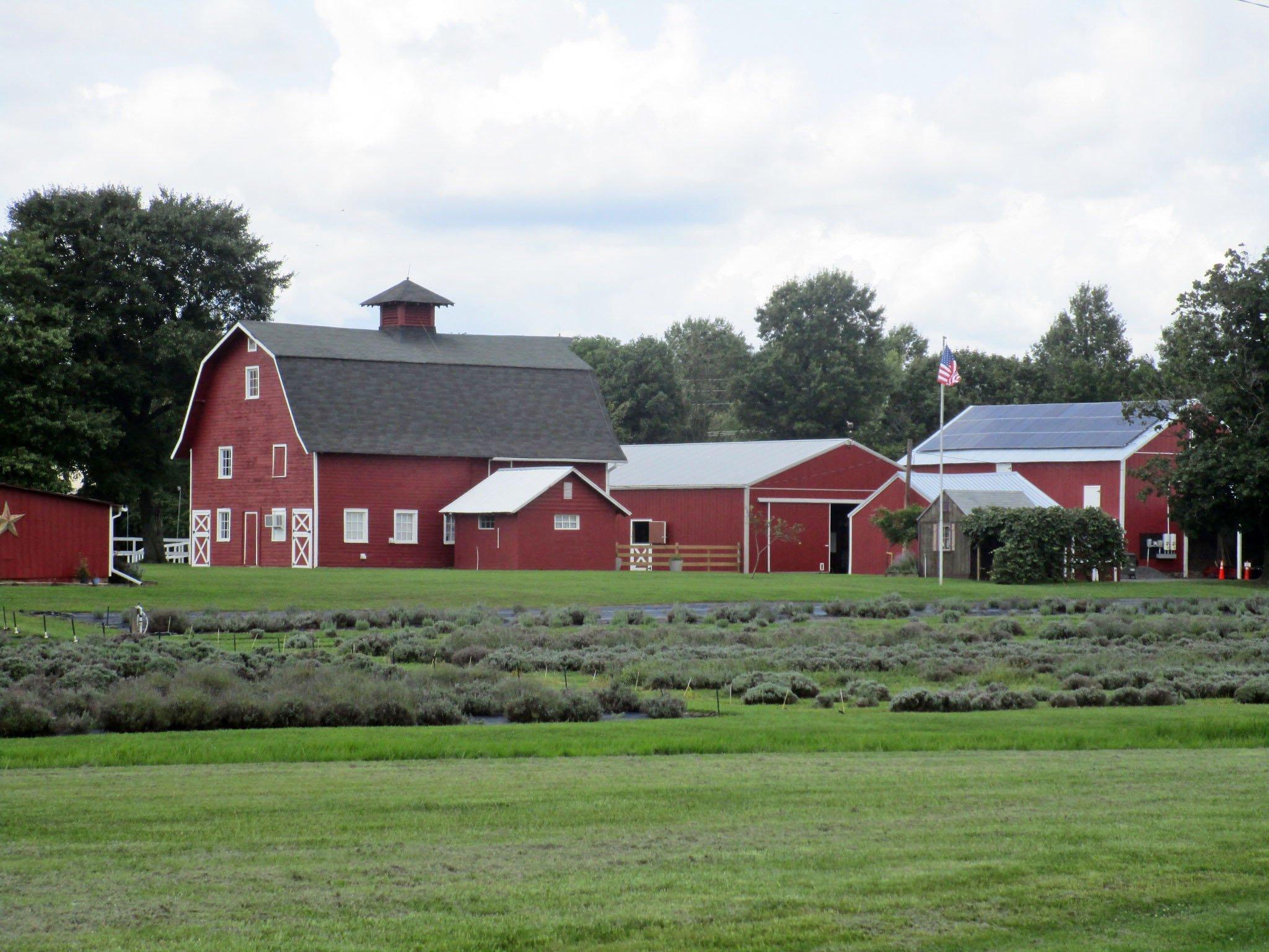 Hidden Spring Lavender Farm