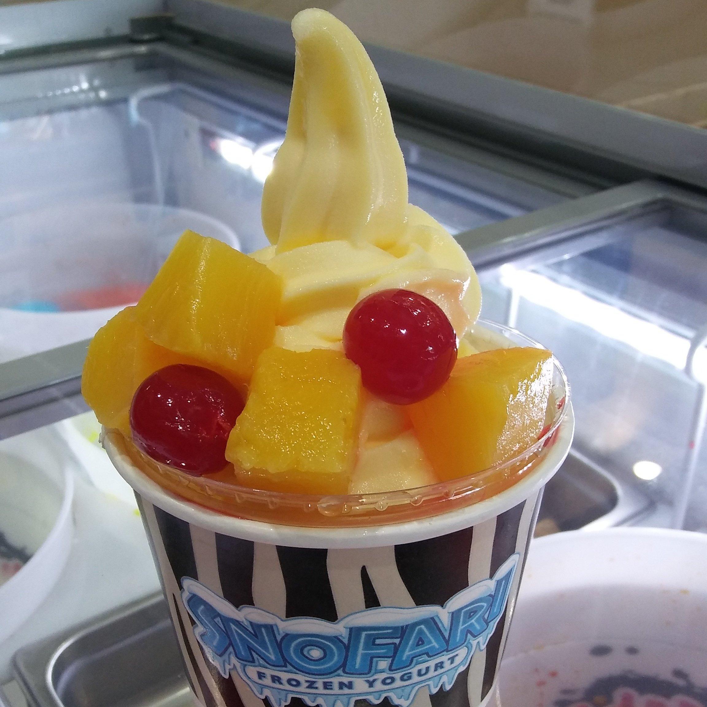 Snofari Frozen Yogurt