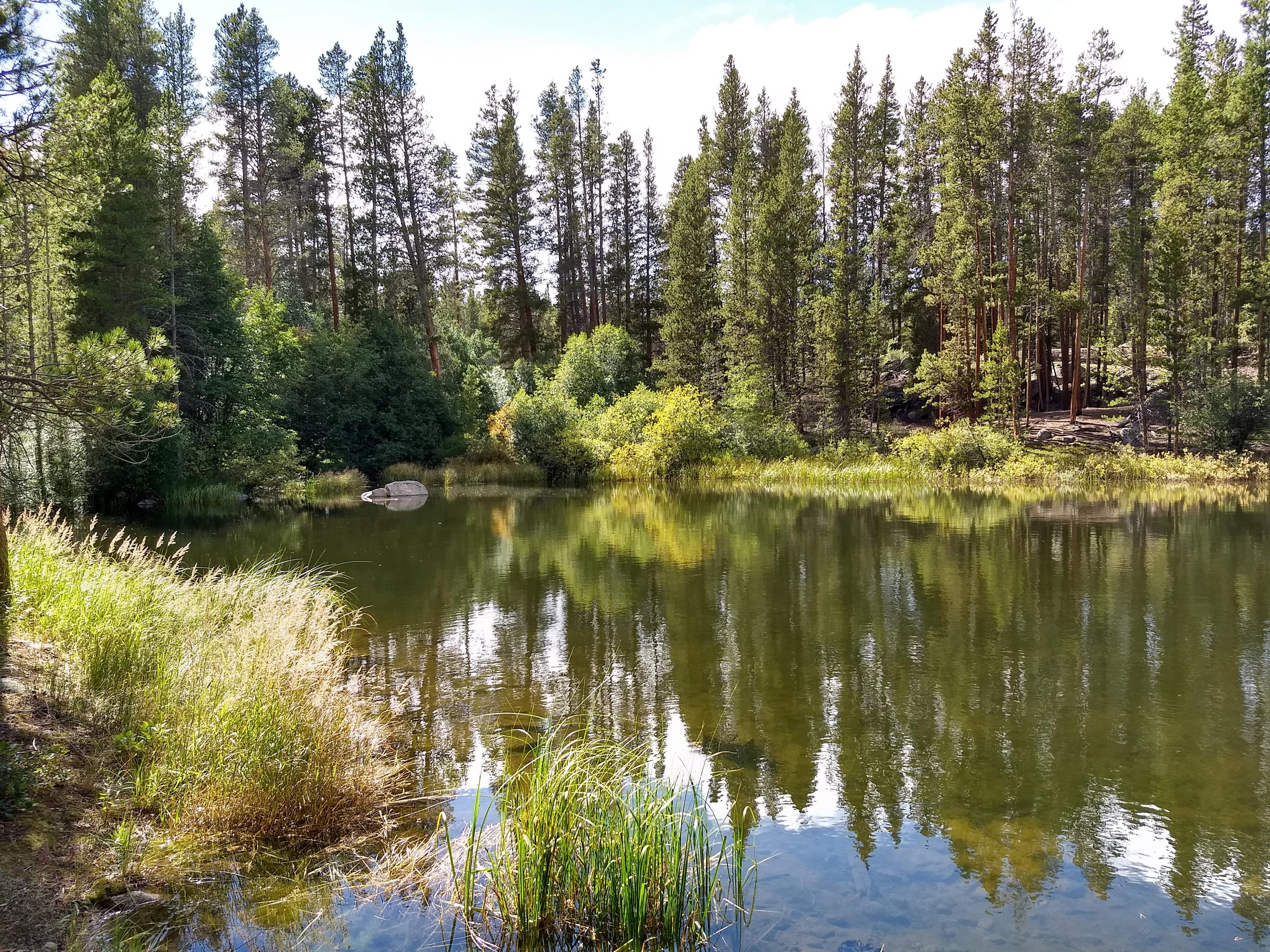 Leadville National Fish Hatchery