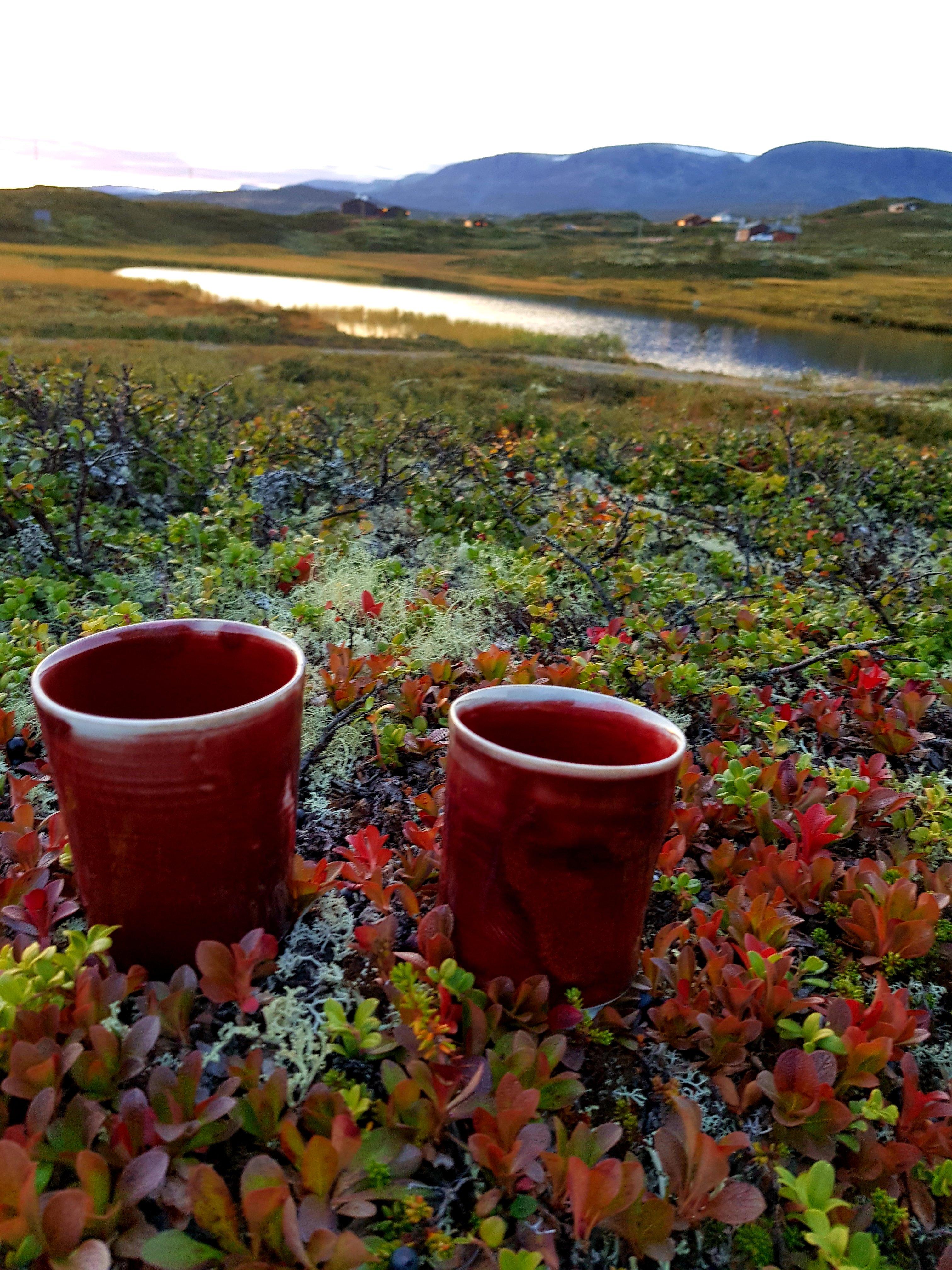 The Velvet Antler Pottery & Gallery